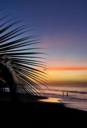 Bohème Carïb - Vue mer & Massages