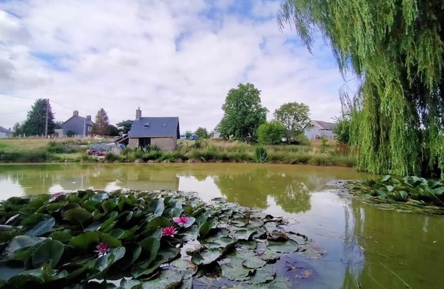 Bosny&Clyde : Havre de paix en campagne Normande
