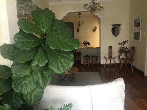 Botanic Apartamento Inteiro em Ipanema
