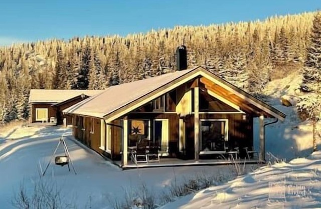 Brand new large cabin with sauna and ski in out