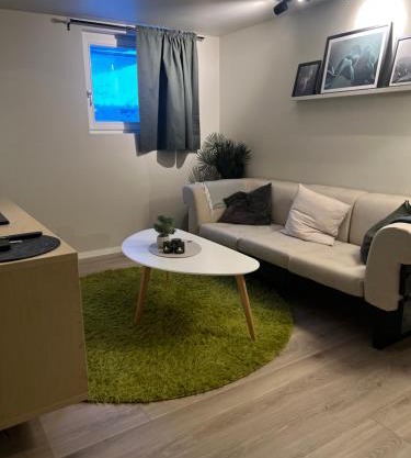 Bright and pleasant basement apartment near downtown, Lys og trivelig kjellerleilighet i sentrumsnært