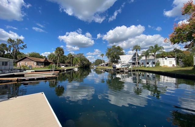 Bring your Boat and Enjoy Crystal River! Fish & See Manatee at Our Dock