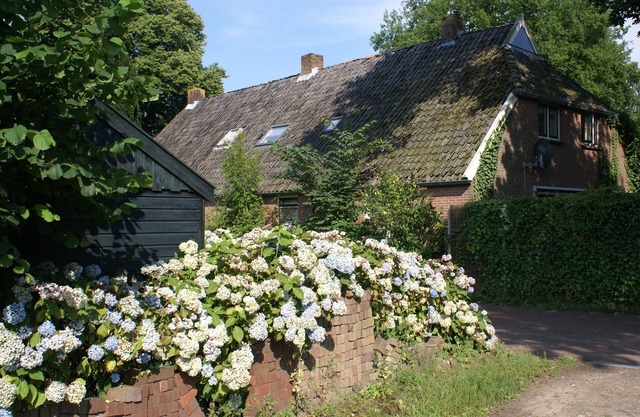 British/Dutch Owned Former Farmhouse (1836) near Picturesque National Park