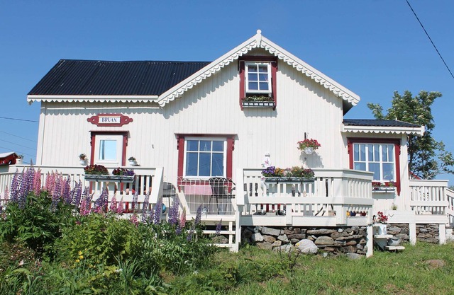 Bruan, Fredvang, Lofoten