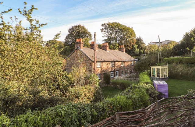 BRYN NOPHFA, pet friendly, with open fire in Flint Mountain