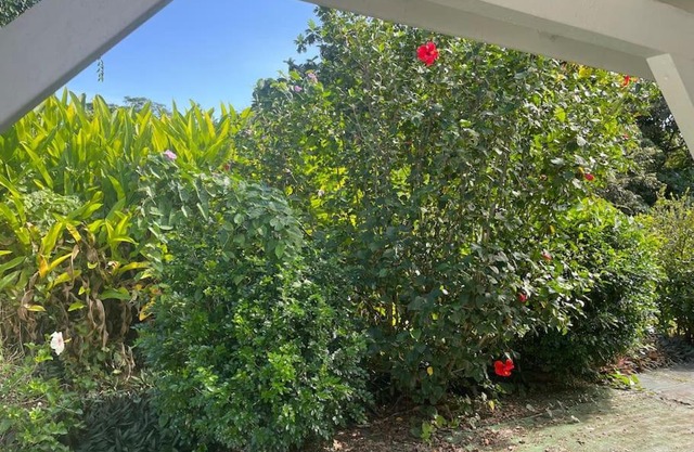 Bungalow 2 personnes Petit Bourg " La Bergetterie"