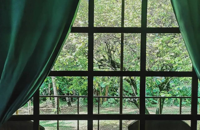 Bungalows on Rincón Beach, Drake Bay