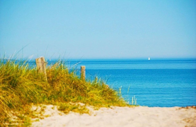 Bungalow for 2 guests with 30m² in Dierhagen (265339)