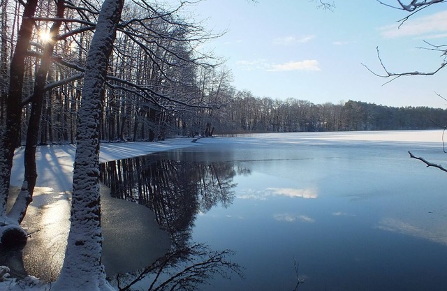 Bungalow surrounded by woods and lakes in Godendorf /Teerofen