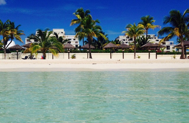 C. B. 1503 - Beachfront Bahamas Freeport Port Lucaya Tropical Paradise!