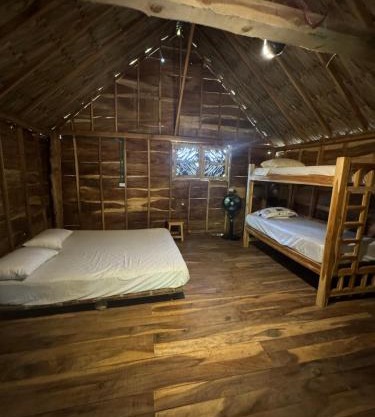 Cabaña roble verde 2