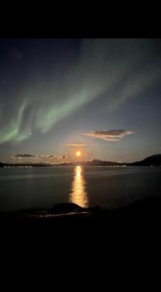 Cabin in scenic surroundings in Senja