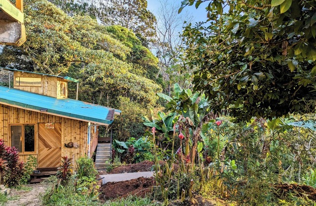 Cabin next to the forest with mountain view