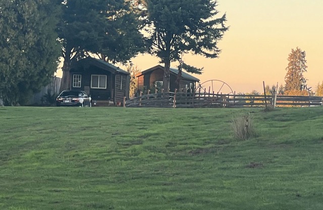 Cabin with a View