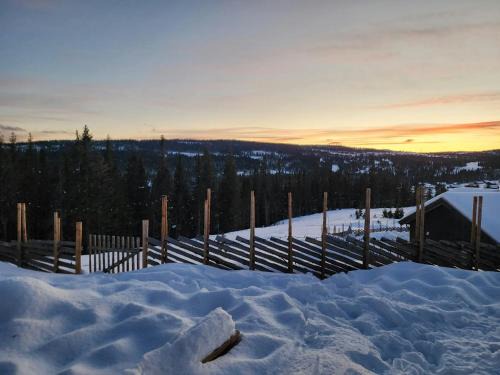 Cabin With Forest Edge Views