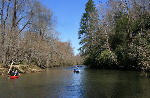Cabin with two trout rivers onsite. Brevard and Pisgah National Forest close by.