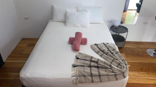 Cahuita Nest Containers studio homes