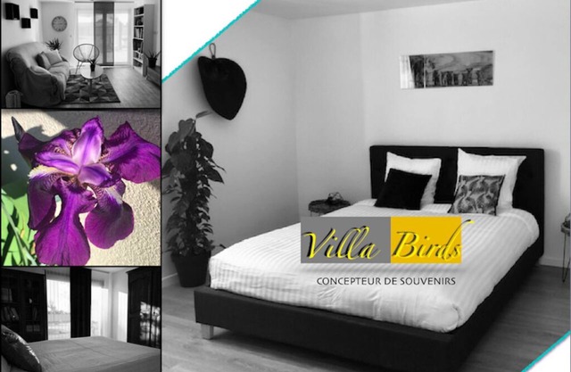 Calm and soothing villa 10 minutes from Chantilly/30 minutes from Roissy and Paris