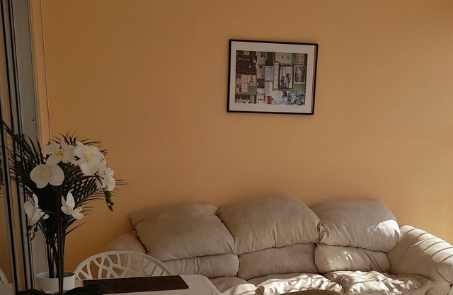 Camelia Rooms