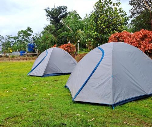 Camping In Pawna Lake