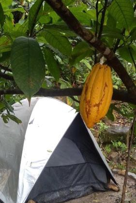 Camping - Recanto do Leâo