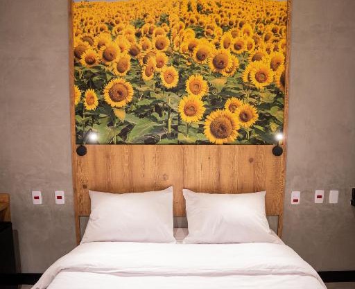 CAMPOS DE HOLAMBRA INN