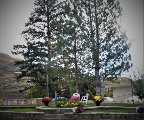 Canada's Best Value Desert Inn & Suites