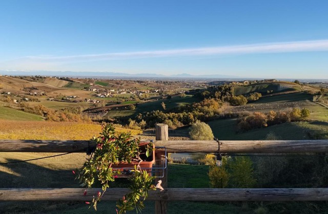 Cantina Visconti - Agriturismo