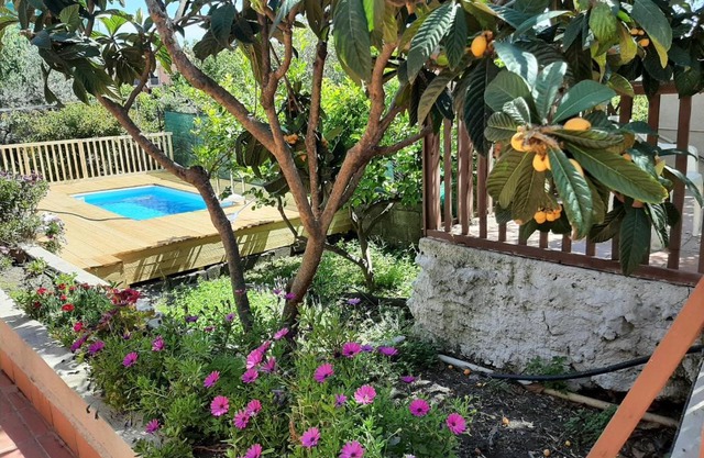 Carrubo - Giardino in città