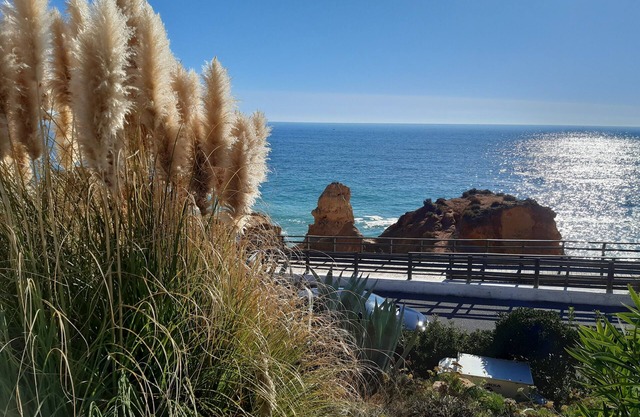 Carvoeiro Friendly Relaxing Family apartment, nice complex 1.5Km to town/beach