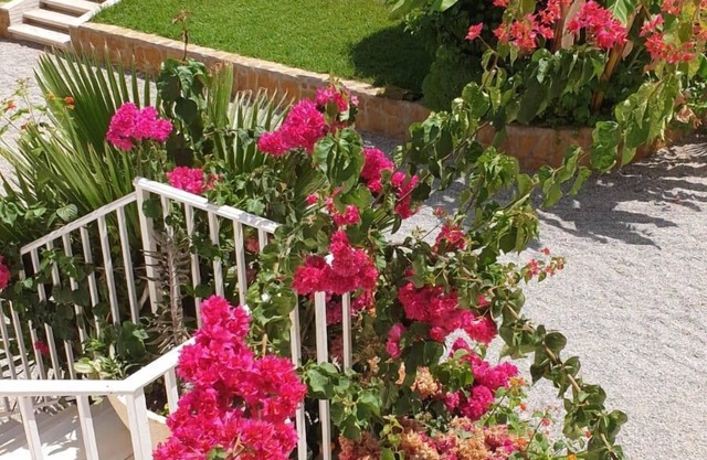 Casa Antonio - Three Bedroom Resort, Sleeps 6