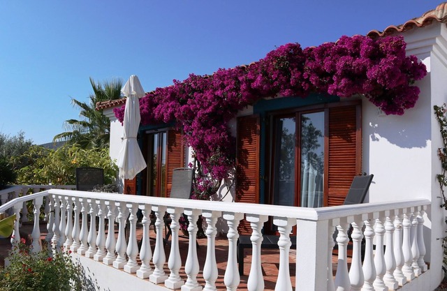 Casa Alta - pool view cottage