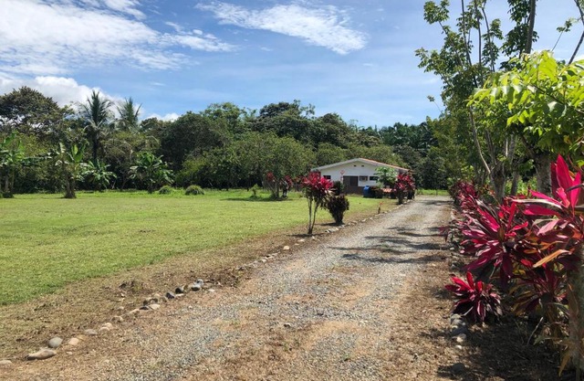 Casa Cocodrilo Sierpe