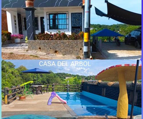 Casa Del Árbol