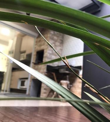 Casa Enseada, Prainha, Praia Grande com ar nos 2 quartos