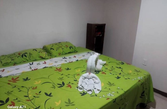 Casa Familiar Grande Mono Congo de osa