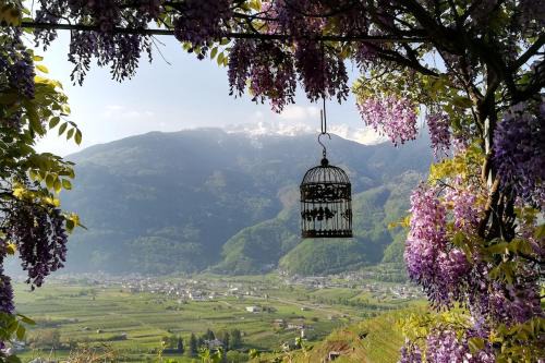 Casa il Glicine Valtellina