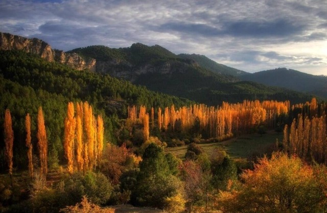 Casa los chaparrales (pet friendly)