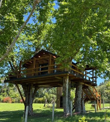 Casa na Árvore - Radosti Experiência