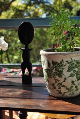 Casa na floresta na Chapada dos Veadeiros