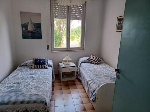Casa pappagallo