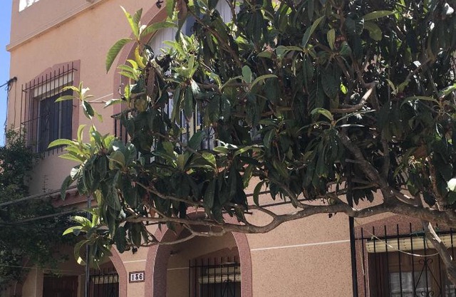 Casa Phoenix Bed & Breakfast