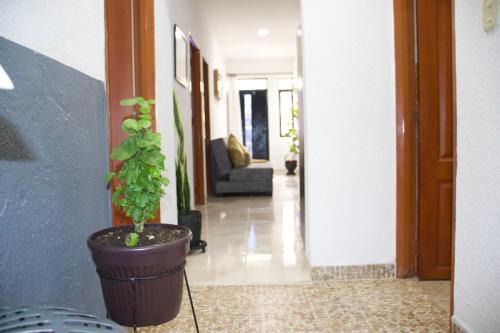 Casa Privada en Montenegro Quindio