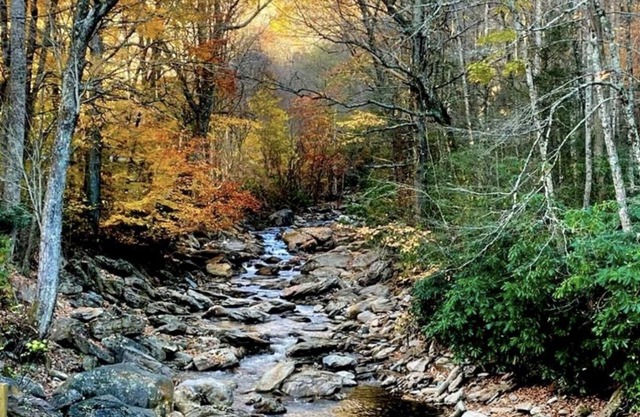 Cattail Creek, Hiking, Fishing, Creeks,Fireplace, Mtns, Scenic Views, WiFi