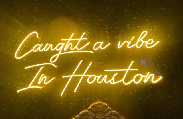Caught a Vibe In Houston -Hot Tub (5 min from Downtown)