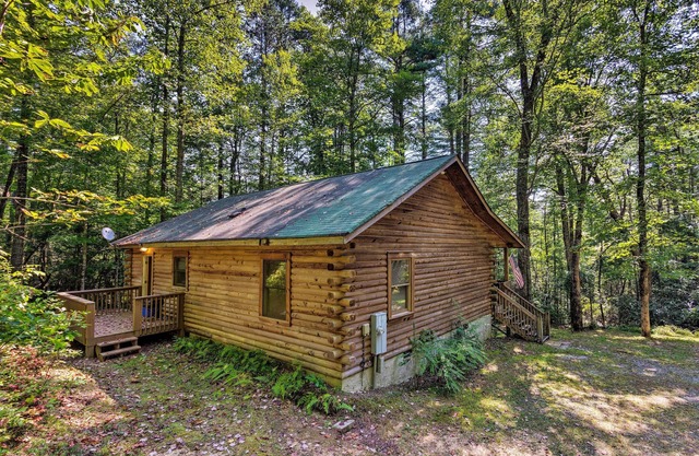 Cedar Mountain Log Cabin: 4 Mi Dupont State Forest