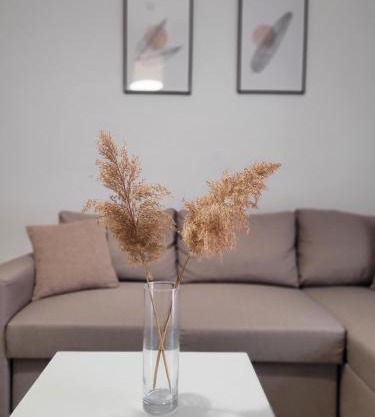 Center River Apartment