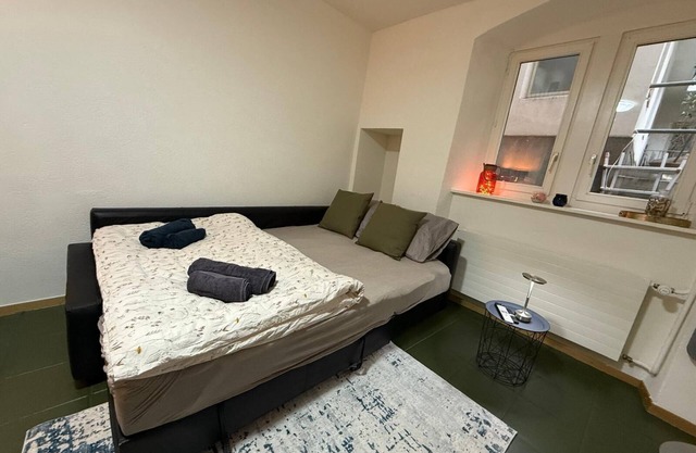 Central and relaxed apartment in Fribourg next to the Cathedral!