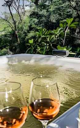 Chale com Hidromassagem em meio a Natureza