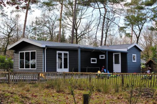Chalet & Glamping Ons plekje in het bos